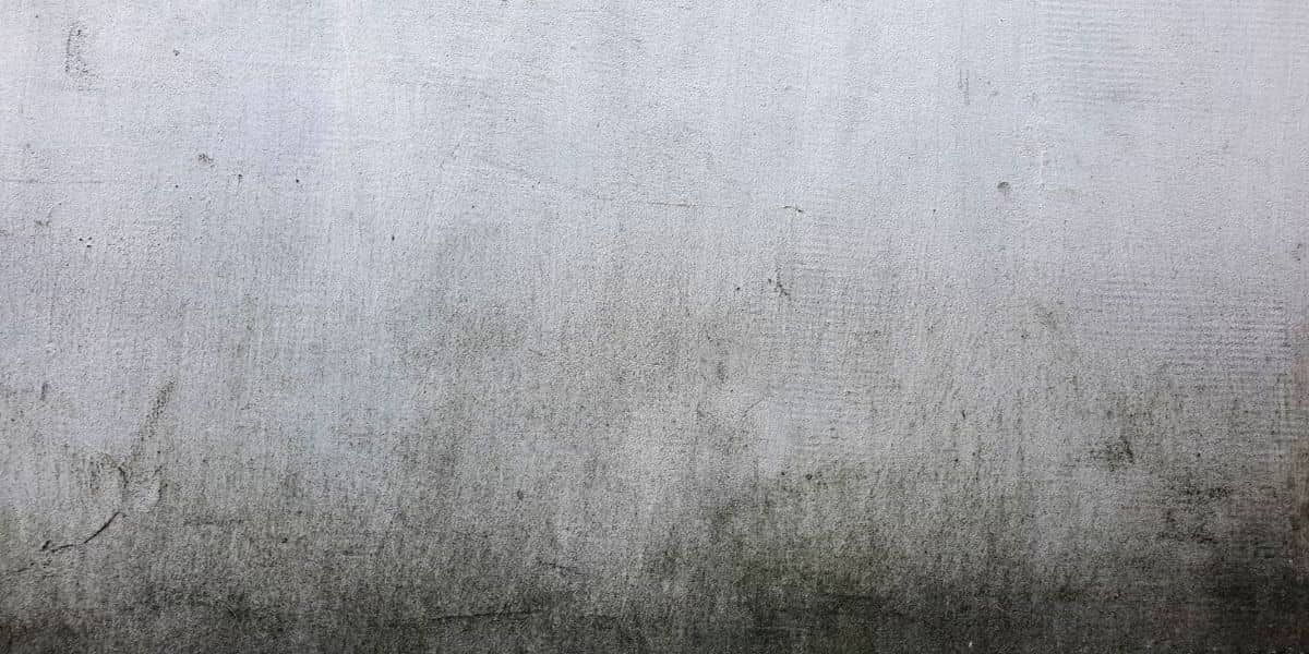 John 20:29 Devotional header