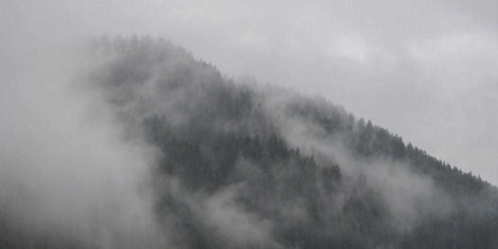 Psalm 10:1 Devotional Header