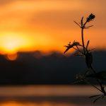 Jesus didn't come to bring peace controversial teaching