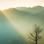The Lord Is My Shepherd Devotional Banner