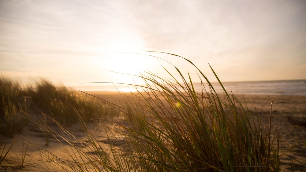 Gratitude challenge - Being grateful for your home and shelter