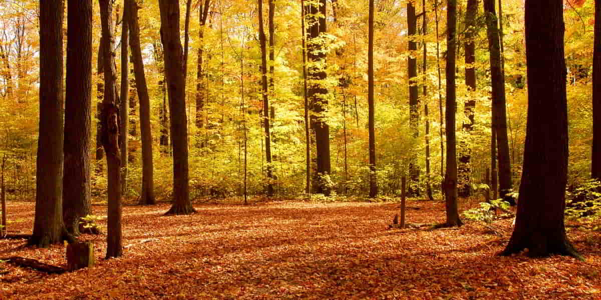 Joseph trusted God and left his home even though he didn't know what the outcome would be