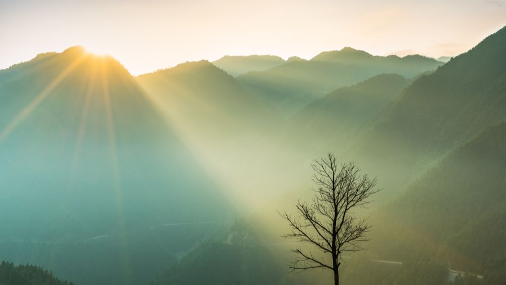 A devotional about why we need Jesus as our savior