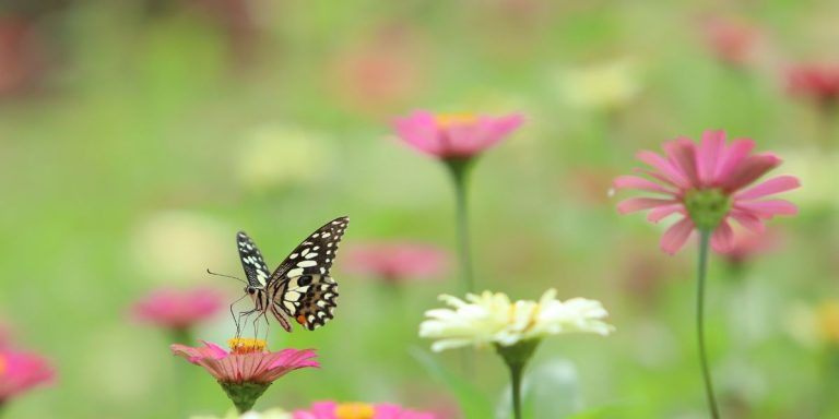 A collection of devotionals about God's love and grace, helping you rest in His unconditional love and experience His forgiveness.
