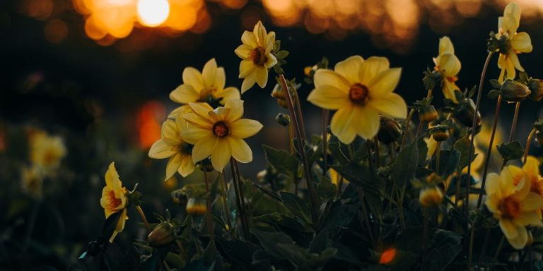 A collection of devotionals for finding peace and rest in God, helping you slow down and experience true soul-rest.