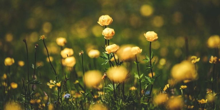 A collection of devotionals for hope and comfort, filling your heart with encouragement and reminding you of God's presence in difficult times.