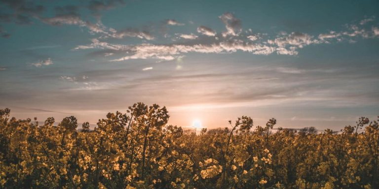 A collection of devotionals about prayer and surrender, encouraging you to connect with God and trust Him with everything.