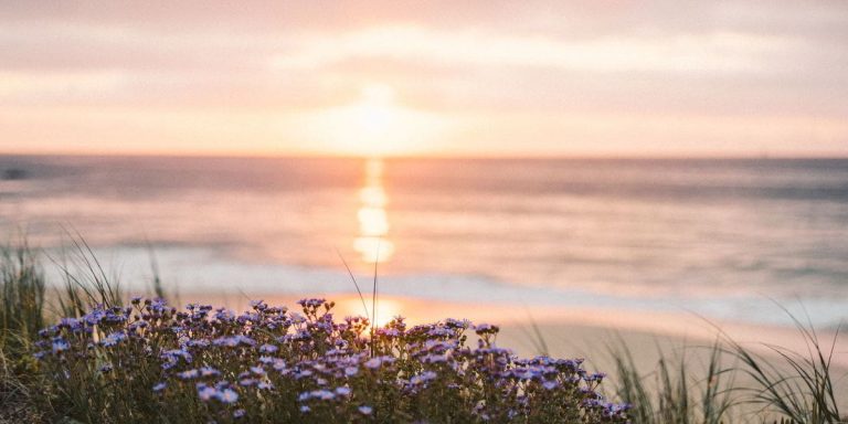 A collection of devotionals to help you face fear with faith, reminding you that God is with you and you do not need to be afraid.